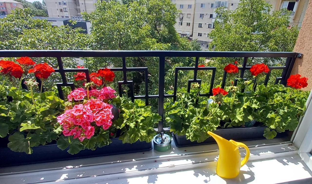 33 Coquette Apartment Baia Mare Extérieur photo