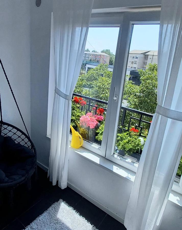 33 Coquette Apartment Baia Mare Extérieur photo
